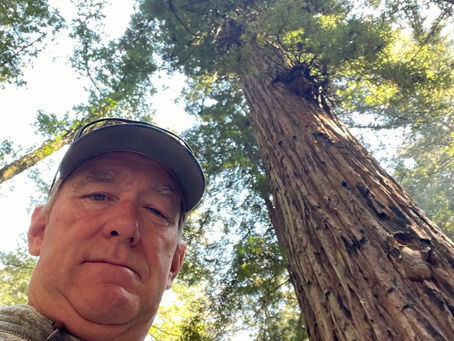 Armstrong Redwoods State Natural Reserve.