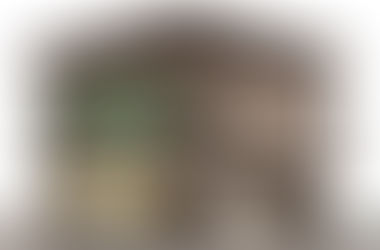 sezione disegno abitazione