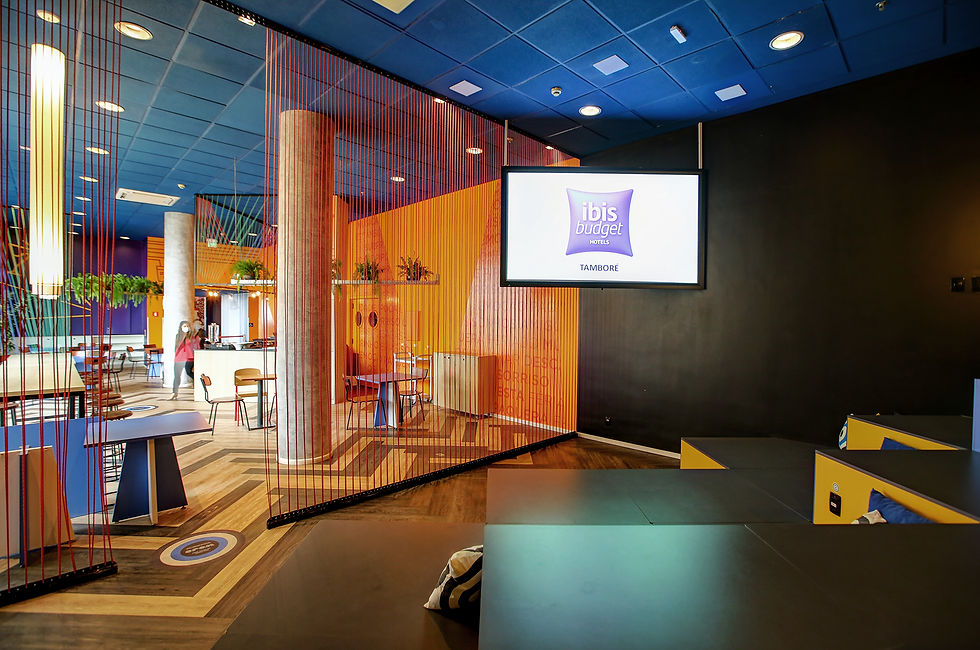 IBIS TAMBORÉ