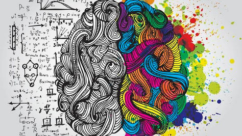 Exploring the Brain Lobes Structural and Functional Organization