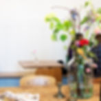 The Roar Blog - Parqiet 1