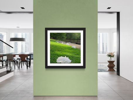 image_6483441 - 2023-06-23T031356.989.JPG