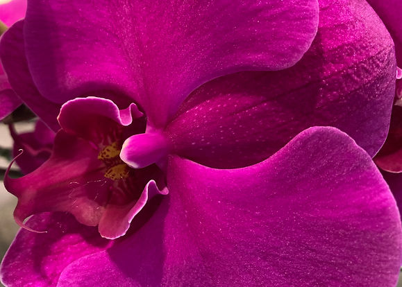 image_72192707 (4).JPG