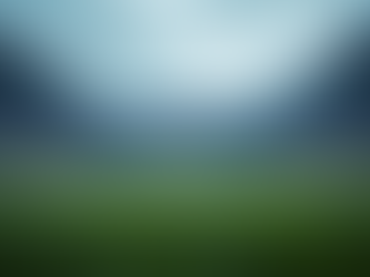 Buy Tennessee Titans Tickets and Parking Passes