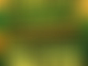 Michael Franti 2026 Tour