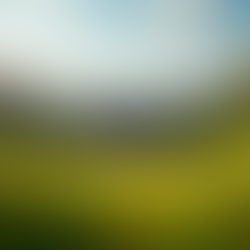 Score cheap Train tickets today