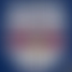 2026 New York Red Bulls Tickets