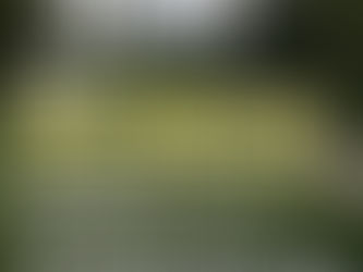 2026 US Open Tickets