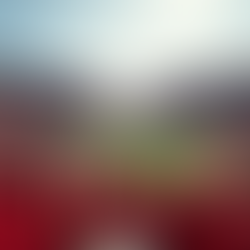 Buy 2025 Stanford Cardinal Football Tickets Now