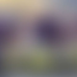 Best Deals Vikings 2025 Tickets