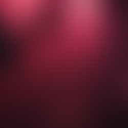 Buy Cheap Bob Dylan Tickets Online