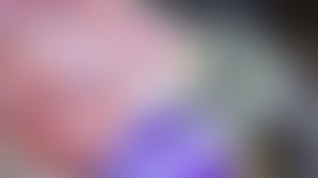 Salmonella Contamination