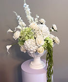 White and Green Statement 2.jpeg