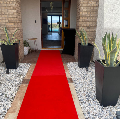 Red Carpet rental for art exhibit