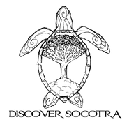 Logo%20text_edited.png