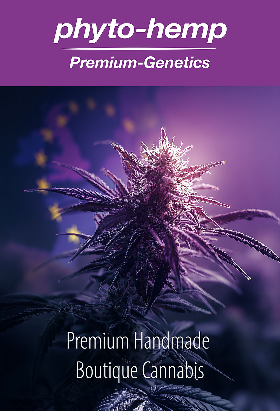 Phyto_Medical_Titel_Titel.jpg