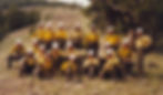 1979
