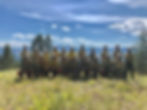 2019