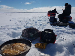 276118013_175448375014133_4272556094610268805_n