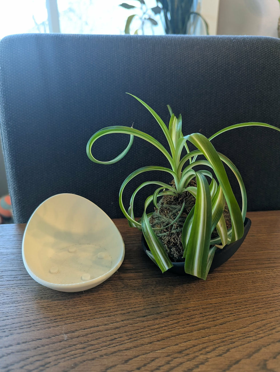 Half bowl bases