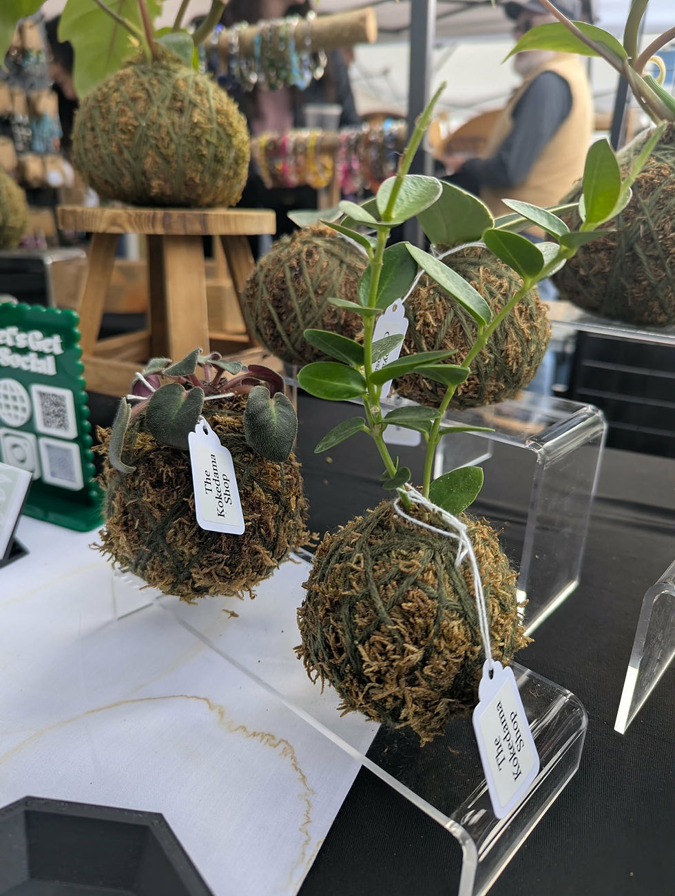 kokedama display3