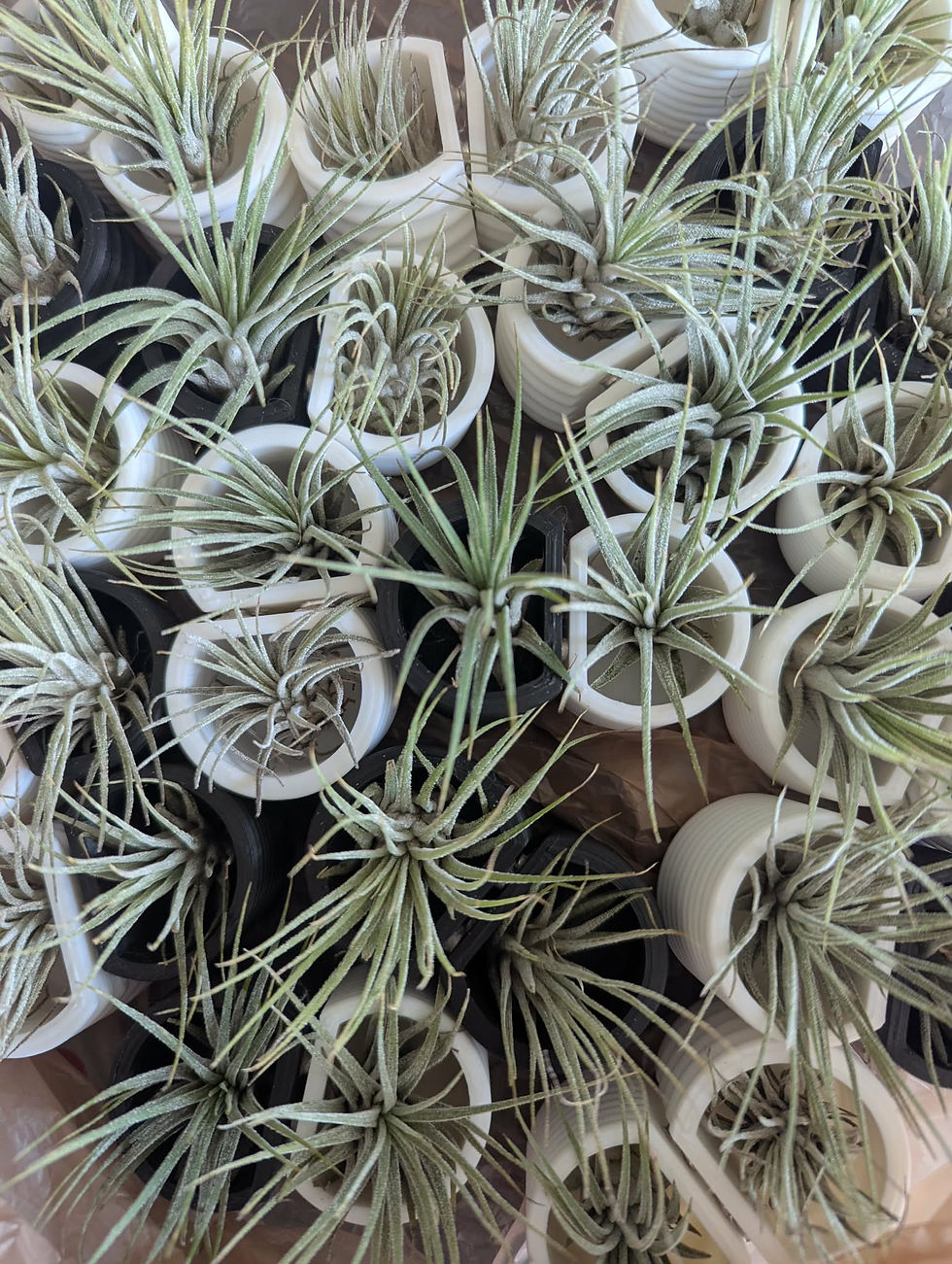 magneticairplantpots