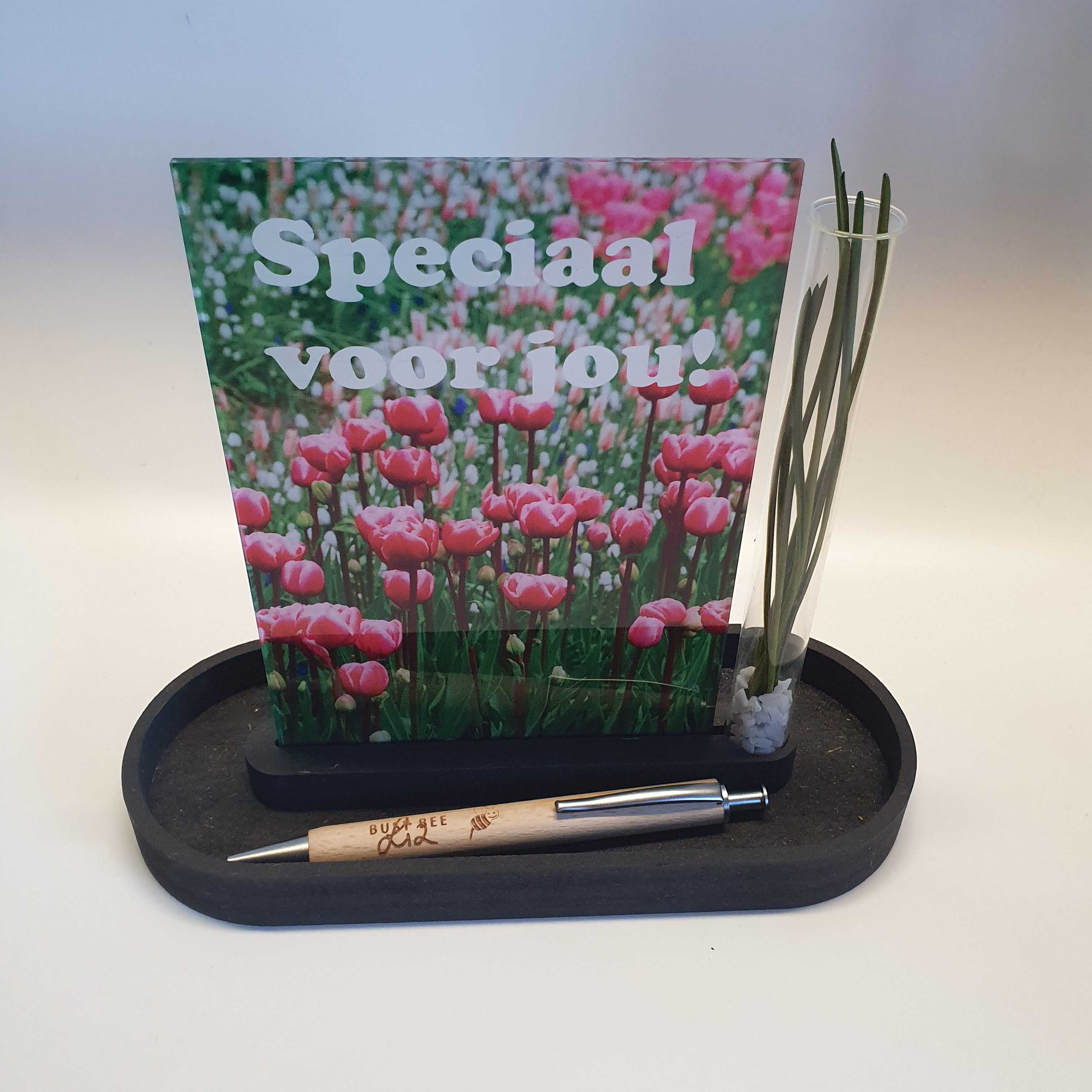 Pennenbakje met ruimte voor foto of kaart en een plantje