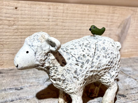 動物たちにも体質や性格がある Animals have individual personalities
