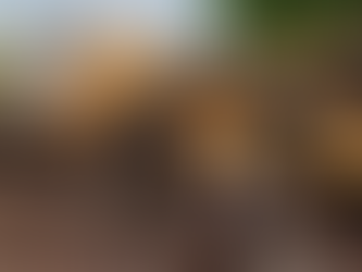 Emergency Response & Preparedness Checklist: What to Do in the Event of an Emergency Incident