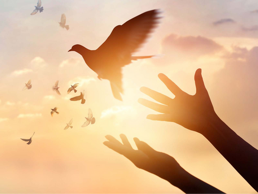 The Power of Forgiveness in Healing from Trauma