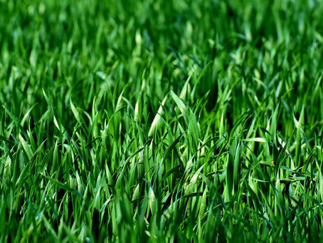 PIANO TRANSIZIONE 5.0: ESAURITE LE RISORSE A 2,5 MILIARDI, AZIENDE IN LISTA D’ATTESA