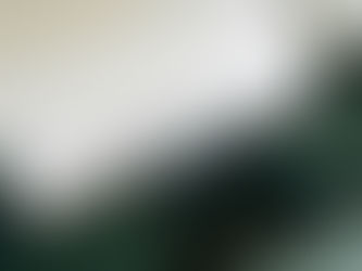 NIENTE TFR DAL FONDO DI GARANZIA SE C'E' CESSIONE DI AZIENDA