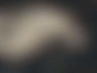 DECRETO 231, RESPONSABILITÀ DELL’ENTE ANCHE SE L’INTERESSE RIGUARDA UN SOLO AUTORE