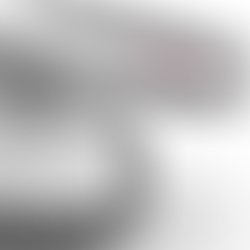 NEW Raymarine Magnum радар