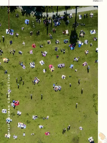 4 Winning Recipes for an SF Company Picnic