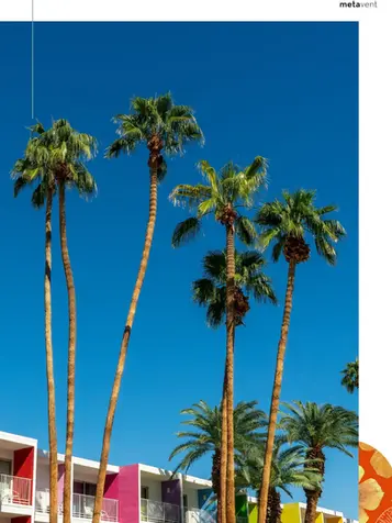 Palm Springs: Paradise in Your Backyard