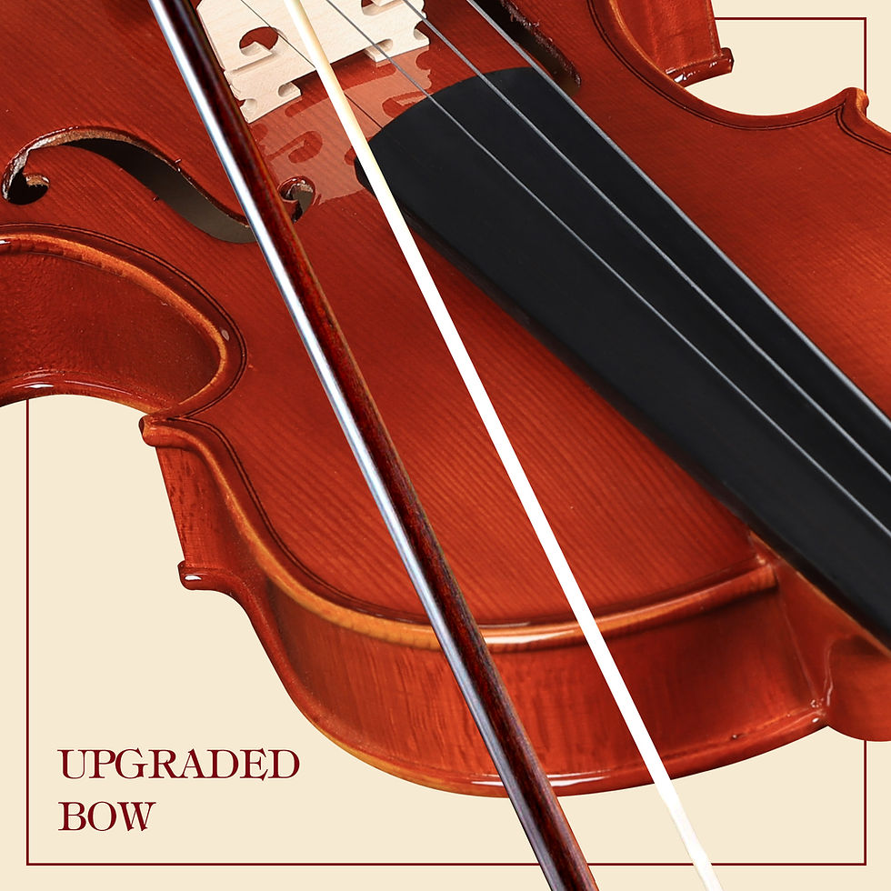 Thumbnail: Aileen 4/4 Violin Set, Full Size Solidwood Fiddle for Adults Beginners