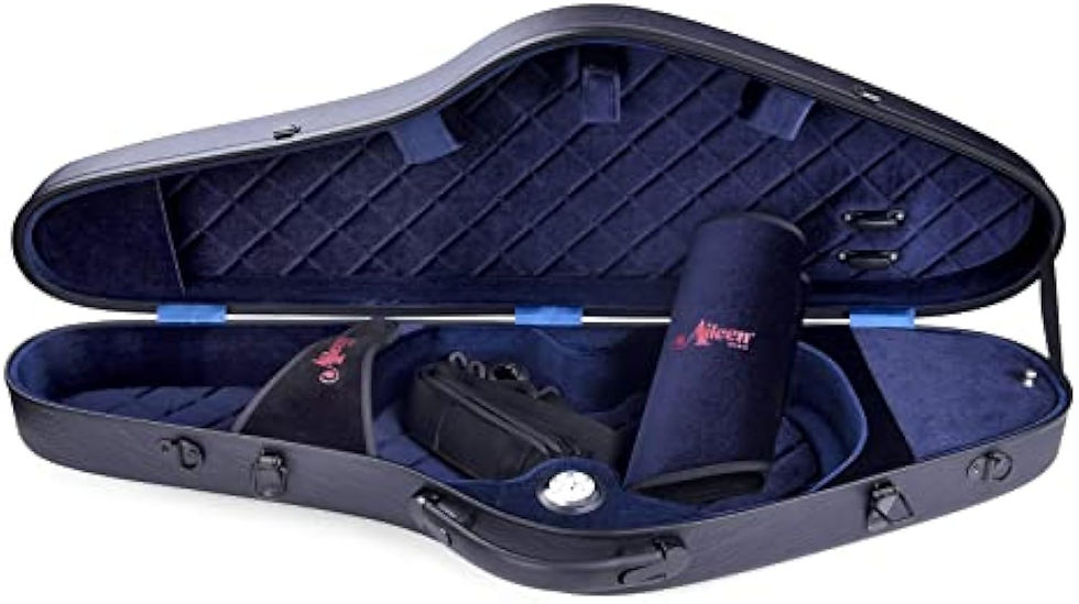 Thumbnail: Aileen Violin Hard Case 4/4 Full Size Luxury with Hygrometer Suspension,Black