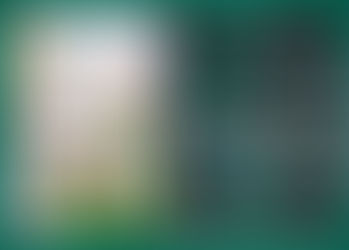 Wanwan Monogatari Capítulo 7.5