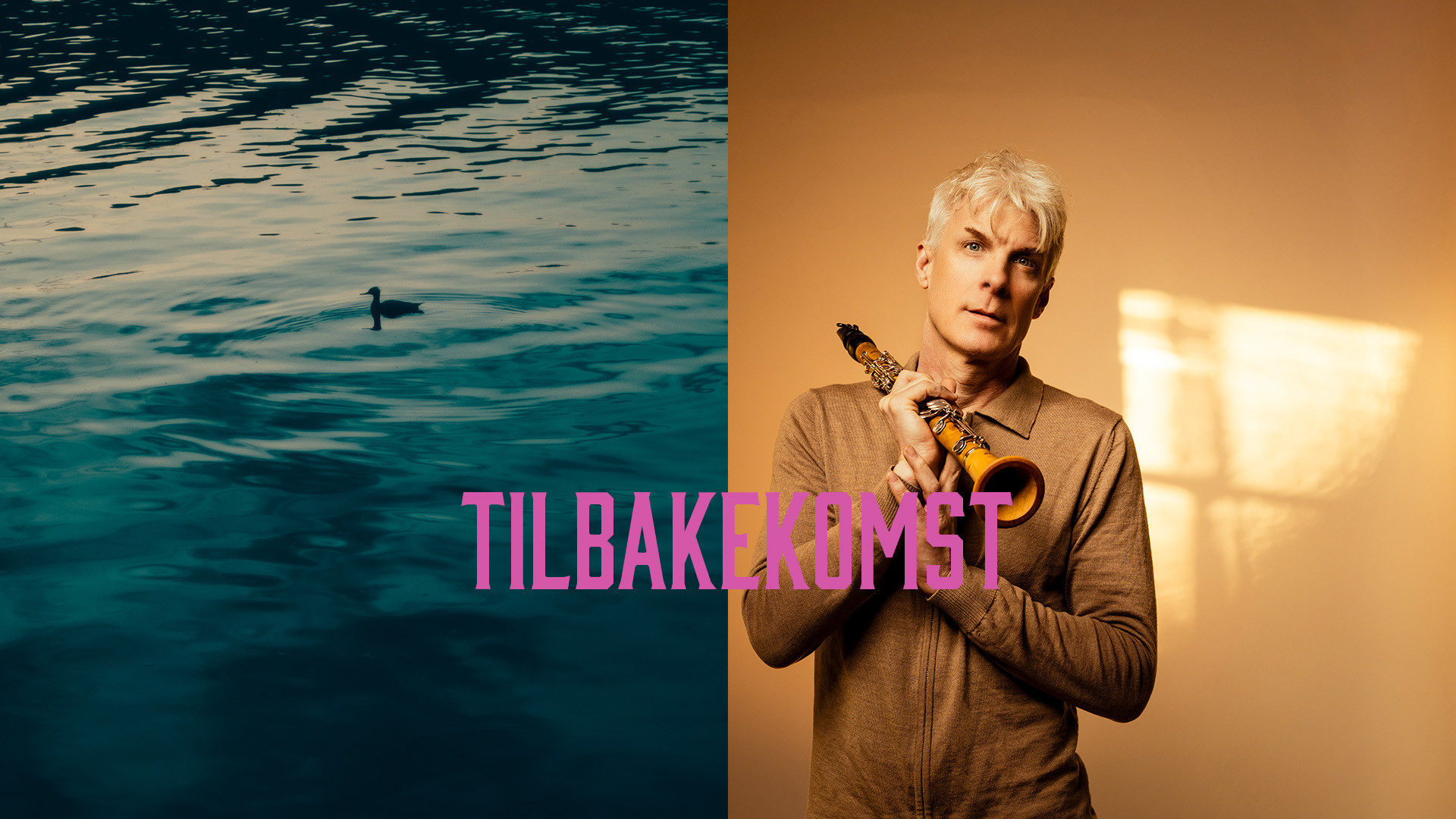 Tilbakekomst