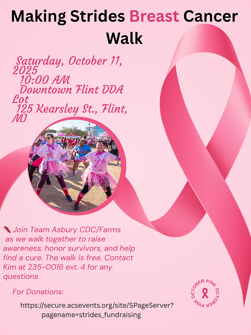 Making Strides Against Breast Cancer Walk