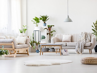 Spacious Living Room - FibraQ customized compounds