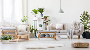 Bright living room with a beige sofa, blankets, and plants. Soft lighting, neutral tones, and a peaceful, cozy atmosphere.