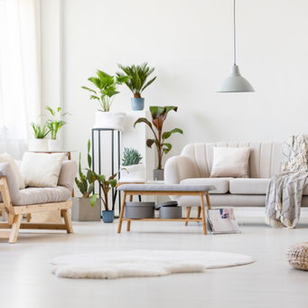 What is Biophilic Design?