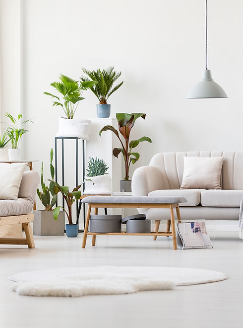 Ruime woonkamer