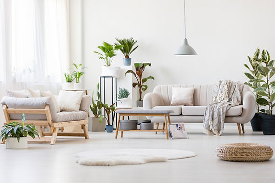 Modern Living Room