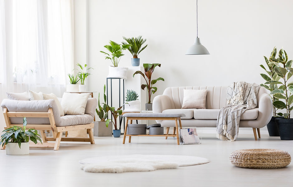 Spacious Living Room