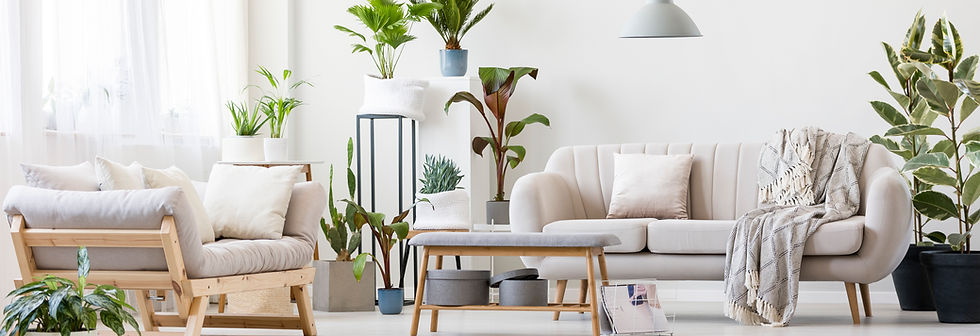 Spacious Living Room