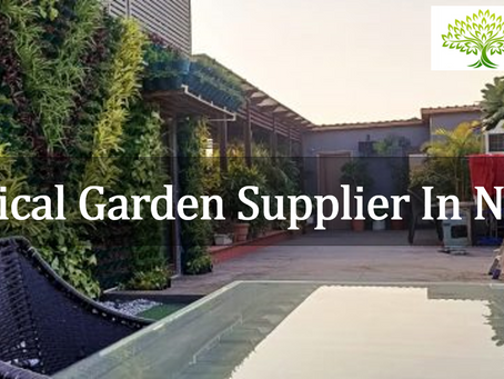 Vertical Garden Supplier In Noida - Noida Greens