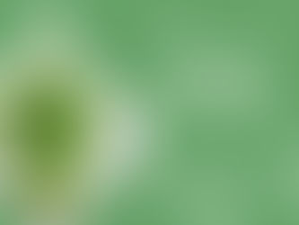 How plants affect our lives in various ways